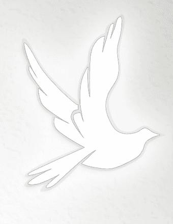Joseph Henry Johnson Obituary
